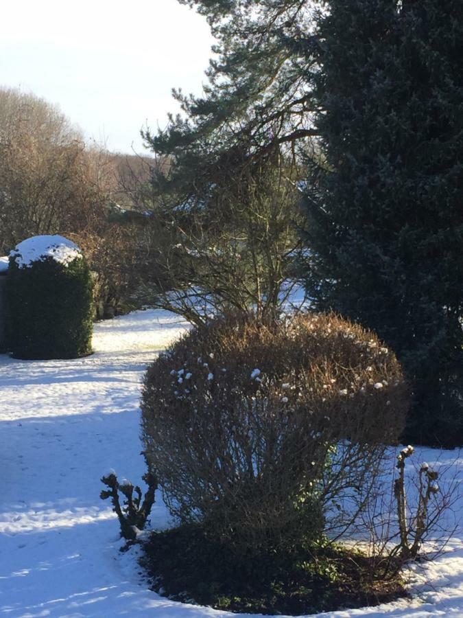 La Ferme Des Ruelles Bed and Breakfast Moigny Εξωτερικό φωτογραφία