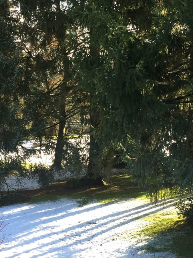 La Ferme Des Ruelles Bed and Breakfast Moigny Εξωτερικό φωτογραφία